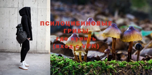 mix Абаза