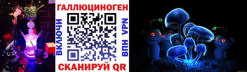 kraken маркетплейс  Тулун  Псилоцибиновые грибы Psilocybe 